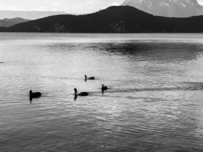 SlotoCash Casino Mobilna aplikacija